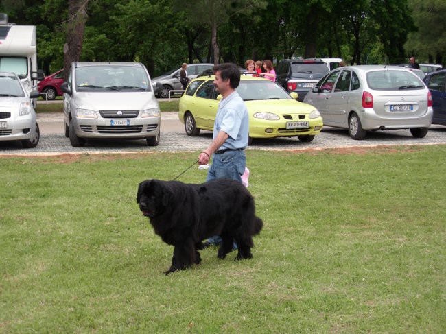 09.05.2009
CACIB UMAG
Sona in Karli