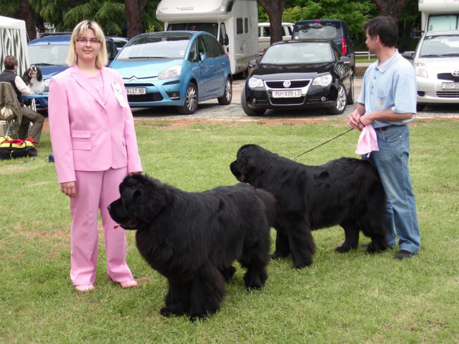 09.05.2009
Cacib Umag
Sona in Carlos - pripravljena za v krog