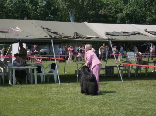 23.05.2009 Cacib Varaždin
postavljena sva pred sodnico