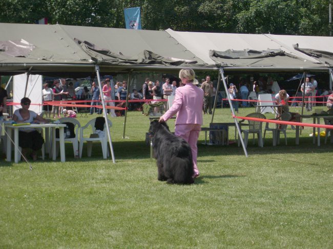 23.05.2009
Cacib Varaždin