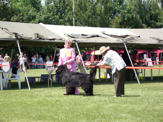 23.5.2009 Cacib Varaždin
sodnica me je celega pretipala