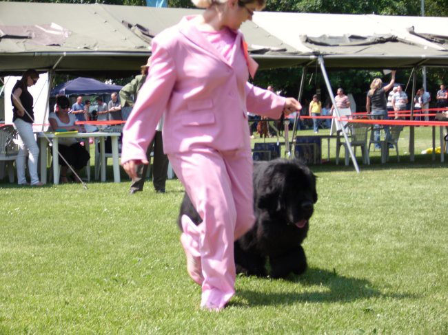 23.05.2009 Cacib Varaždin
tečeva trikotnik