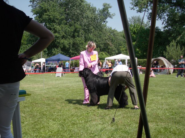 23.05.2009 Cacib Varaždin,
še malo otipavanja