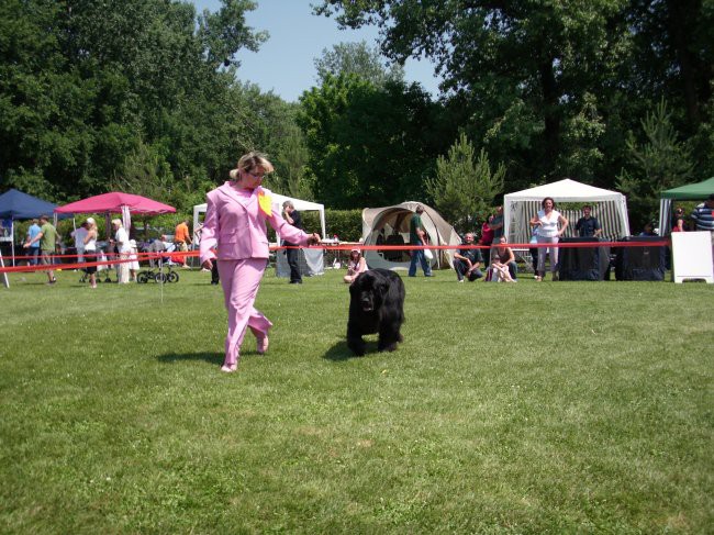 23.05.2009 Cacib Varaždin
tečemo....