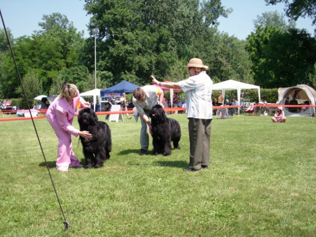 23.05.2009 Cacib Varaždin,
Sona dobi odlično/2, R.CAC in
R.CACIB