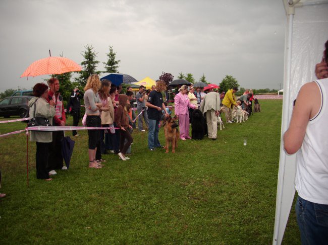 07.06.2009 CAC Koprivnica, The best in show