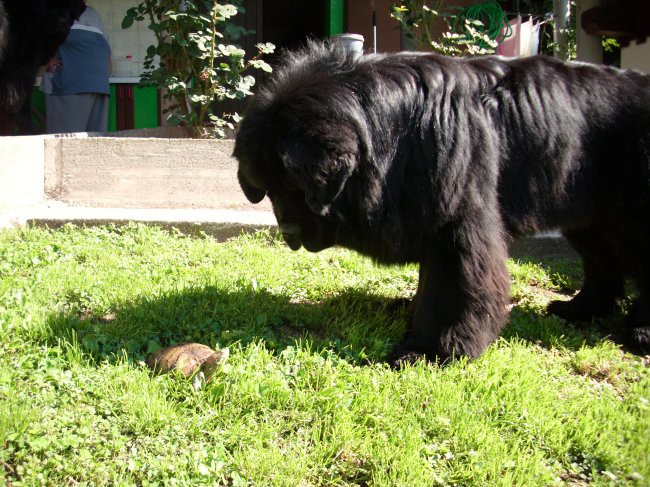 15.06.2009
nekaj se bo začelo dogajat