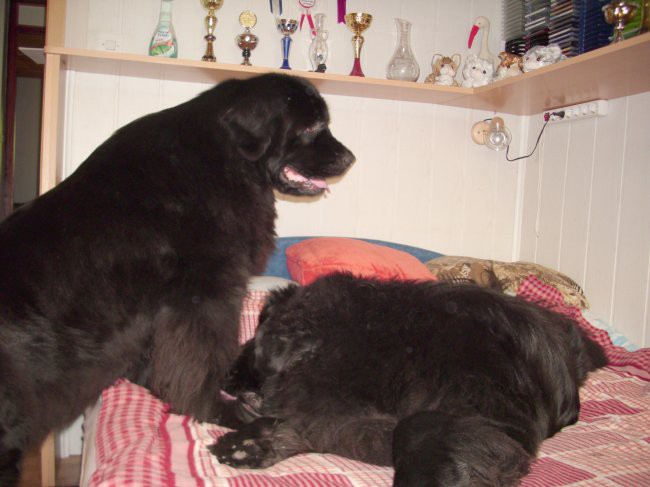 24.06.2009  zdaj te pa imam