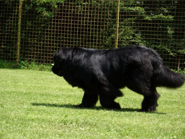 02.07.2009
Sona teče naokrog