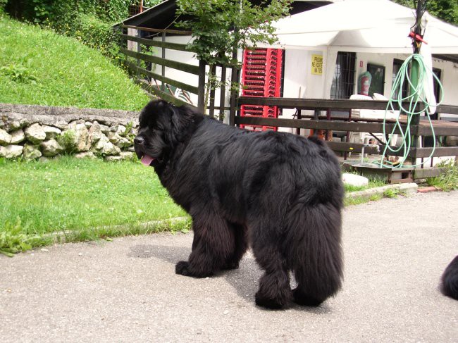 07.07.2009 tam se nič ne dogaja, poglejva raje v drugo smer
