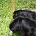 07.07.2009 malo si se zmotil, jaz ne vidim nič