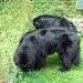 07.07.2009 pridi, raje se greva na travnik  še malo poigrat, potem pa domov