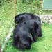 07.07.2009 ajde, kdo bo prvi, ti loviš