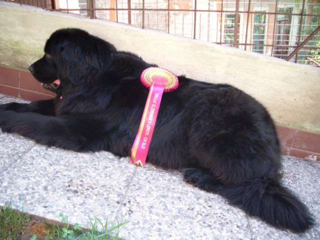 17.07.2009 Sona