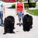 19.07.2009 Dobrna