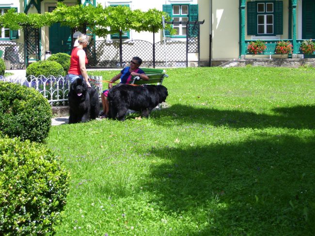 19.07.2009 Dobrna