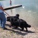 19.07.2009 Velenjsko jezero