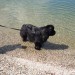 19.07.2009 Velenjsko jezero, Carlos, saj ne vem če bi.....