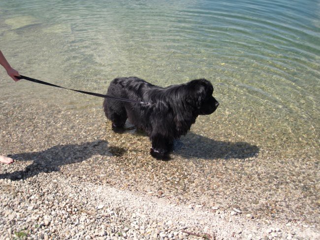 19.07.2009 Velenjsko jezero, Carlos, saj ne vem če bi.....