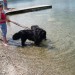 19.07.2009 Velenjsko jezero, no kdo bo šel prvi??