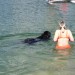 19.07.2009 Velenjsko jezero, joj voda je pa kar hladna