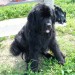 19.07.2009 Velenjsko jezero
Sona se mora posušiti