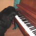 24.07.2009 zelo rad igram na klavir