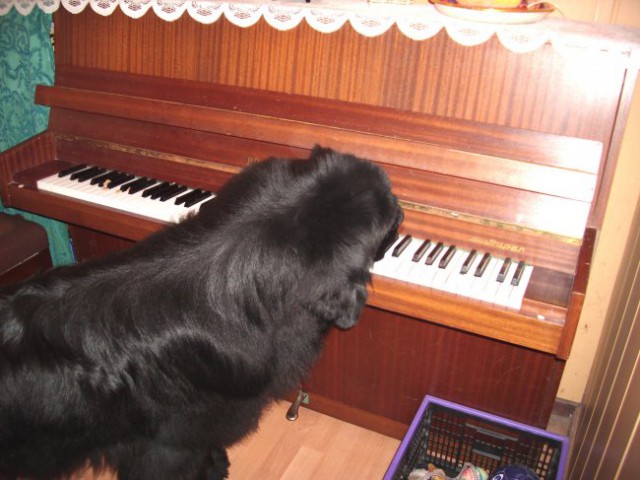 24.07.2009 pianist Carlos