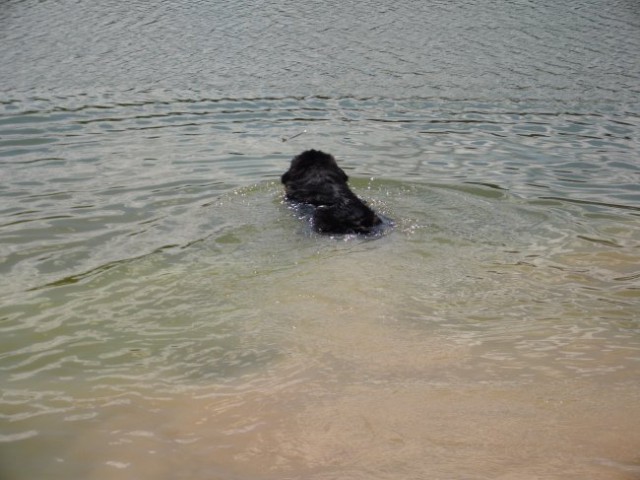 26.07.2009 in plavam do sredine jezera