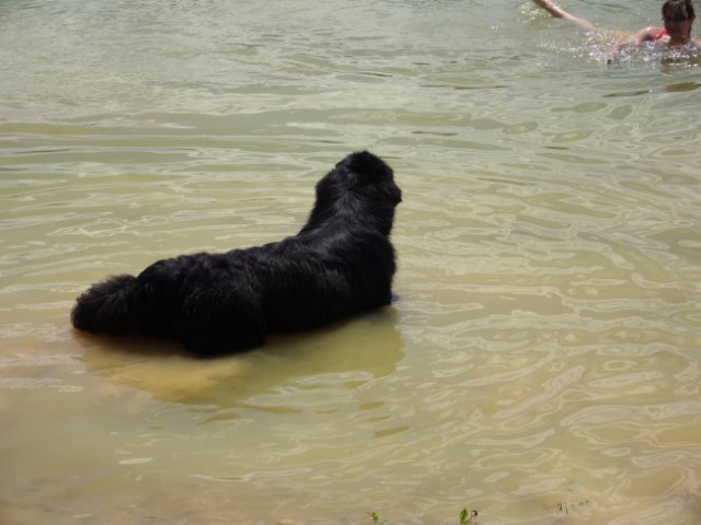 26.07.2009
Carlos se nekaj obotavlja