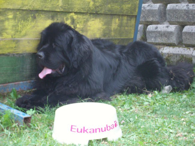 01.08.2009 počitek