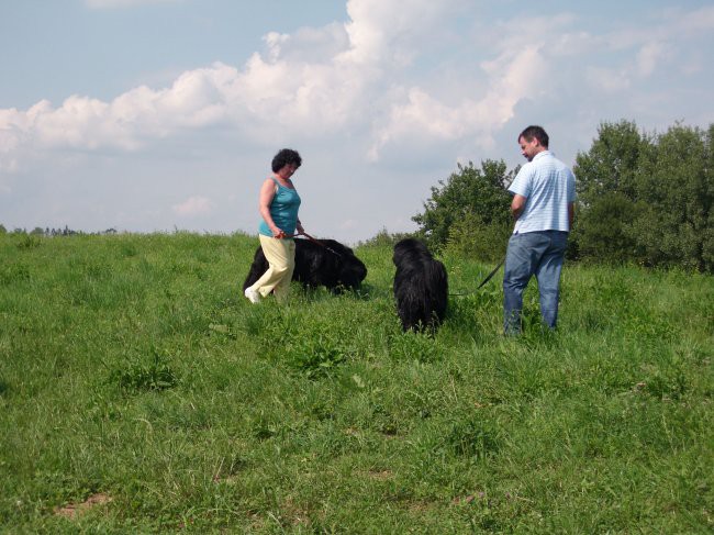 09.08.2009 živjo Sona, zakaj pa ti nočeš danes plavat?