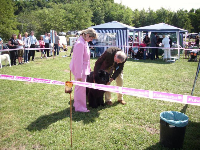 30.08.2009 CAC Trbovlje,
sodnik Miroslav Zidar pretipaCarlosa