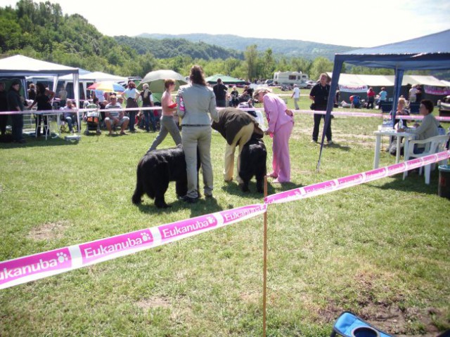 30.08.2009 CAC Trbovlje, sodnik pregleduje Soni zobovje