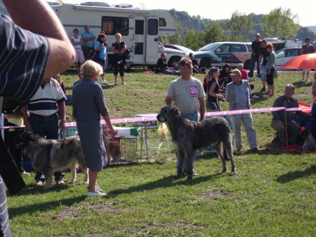 30.08.2009 CAC Trbovlje, tekmovanje za najlepšega psa Zasavja