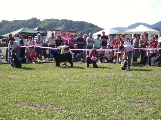 30.08.2009 CAC Trbovlje, najlepši pes Zasavja