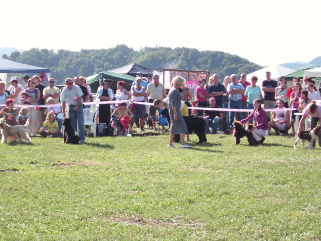 30.08.2009 CAC Trbovlje, izbiranje najlepšega psa Zasavja