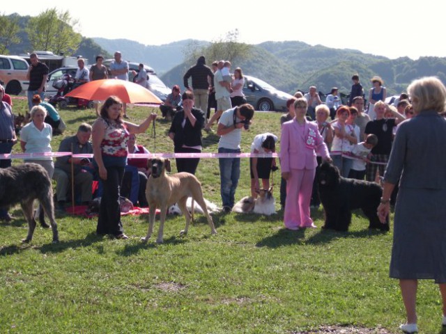 30.08.2009 CAC Trbovlje, izbiranje najlepšega psa Zasavja