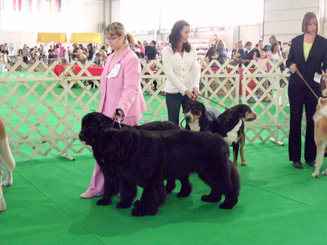 26.09.2009 CACIB CELJE, napovedovalka nas je najavila