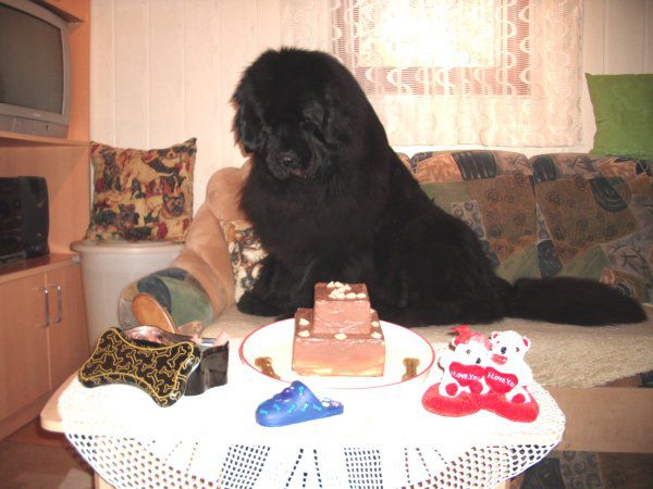 Carlos praznuje drugi rojstni dan, 15.02.2010 - foto