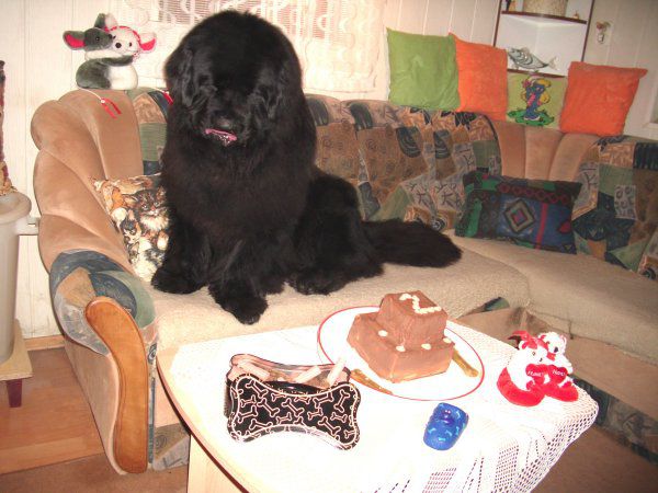 Carlos praznuje drugi rojstni dan, 15.02.2010 - foto povečava