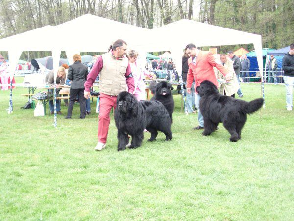 Cacib pohorje, 18.04.2010 - foto povečava