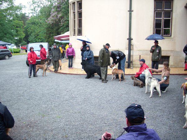 CAC DONJI MIHOLJAC, 16.05.2010 - foto povečava