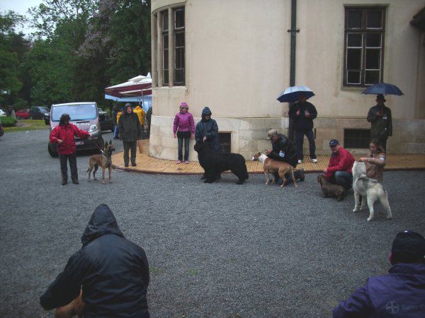 CAC DONJI MIHOLJAC, 16.05.2010 - foto povečava