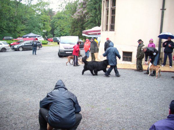 CAC DONJI MIHOLJAC, 16.05.2010 - foto povečava