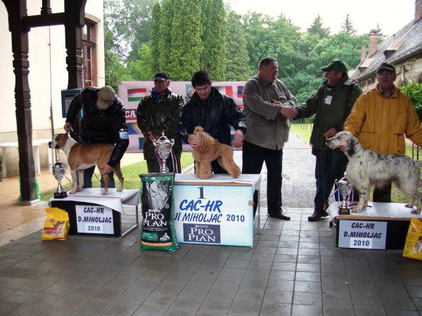 CAC DONJI MIHOLJAC, 16.05.2010 - foto povečava