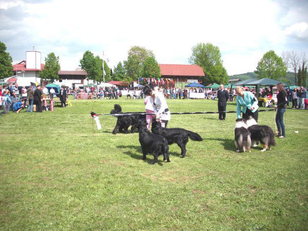 CAC BARJE, 09.05.2010 - foto povečava