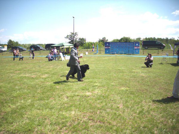 CACIB UMAG, 23.05.2010 - foto povečava