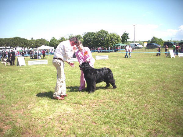 CACIB UMAG, 23.05.2010 - foto povečava