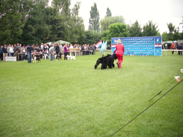 CACIB Varaždin, 20.06.2010 - foto